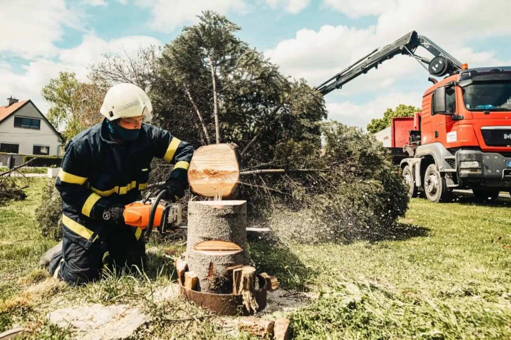 commercial tree removal Sydney